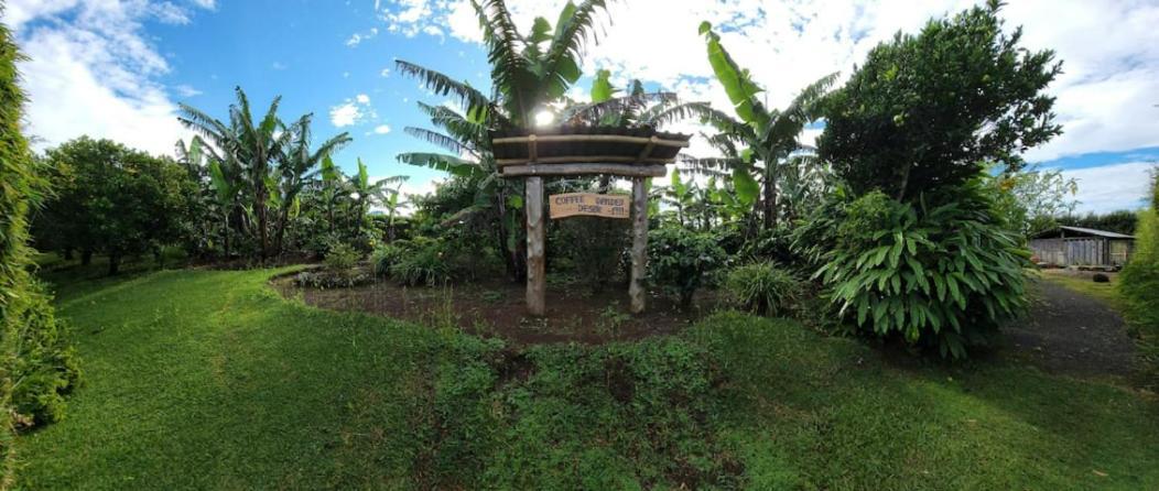 Coffee Garden Ranch Costa Rica Daire Concepcion  Dış mekan fotoğraf