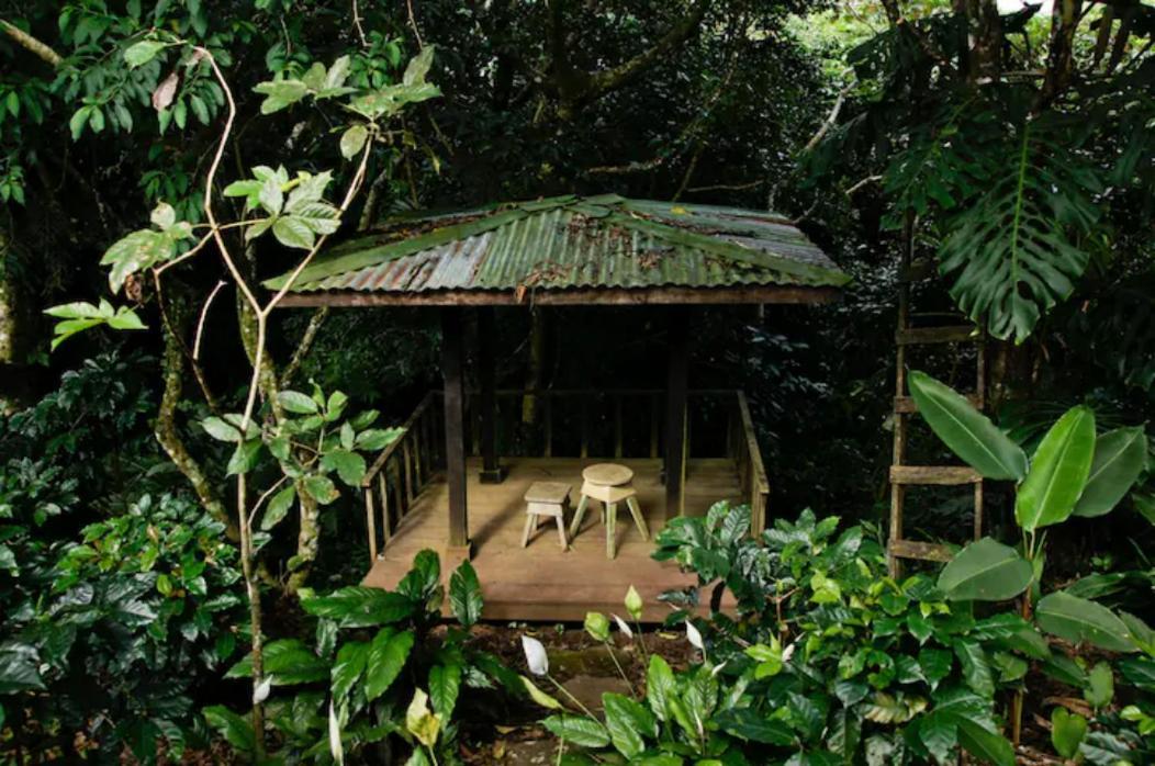 Coffee Garden Ranch Costa Rica Daire Concepcion  Dış mekan fotoğraf