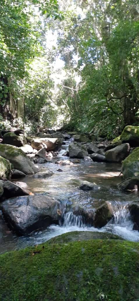 Coffee Garden Ranch Costa Rica Daire Concepcion  Dış mekan fotoğraf