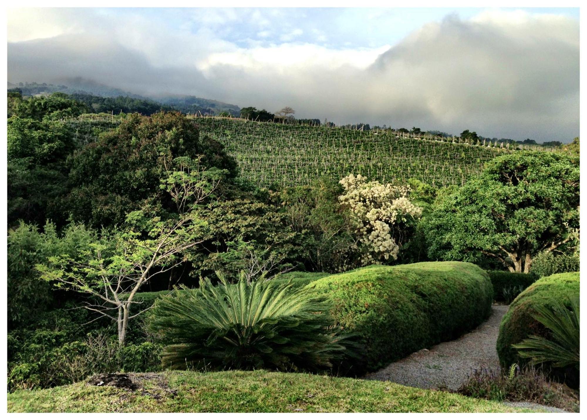 Coffee Garden Ranch Costa Rica Daire Concepcion  Dış mekan fotoğraf
