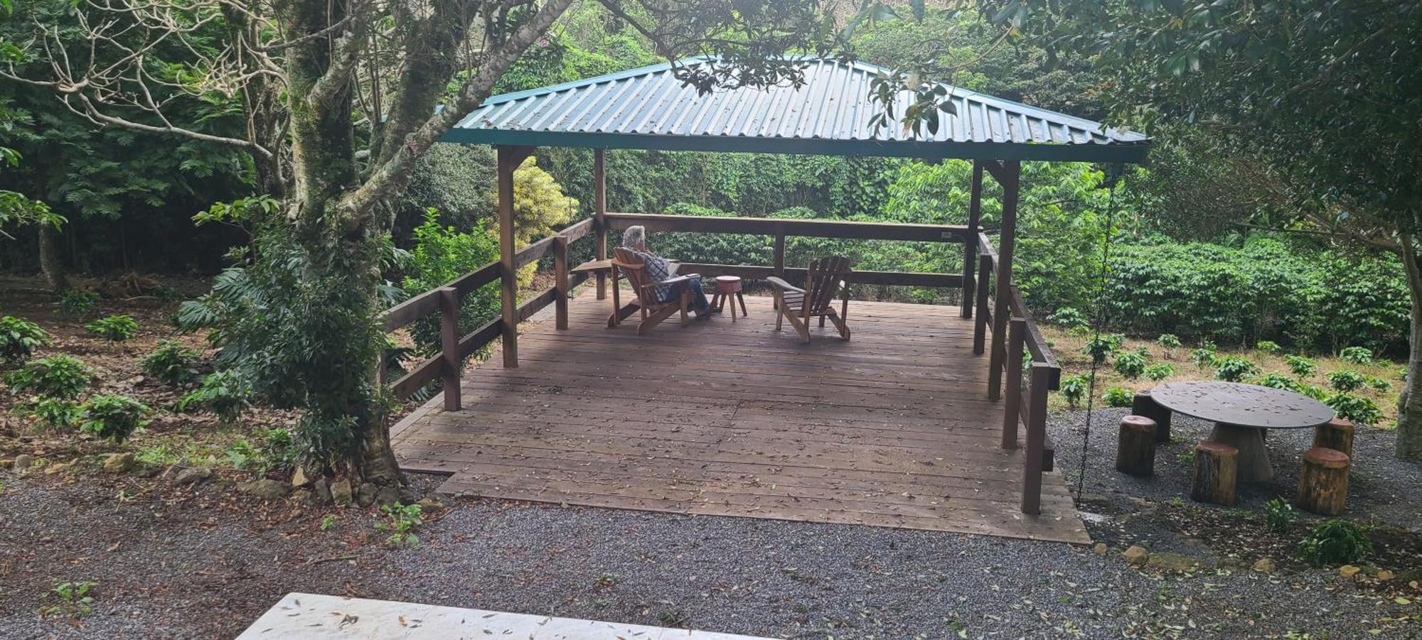 Coffee Garden Ranch Costa Rica Daire Concepcion  Dış mekan fotoğraf